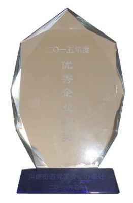 2015年度優(yōu)秀企業(yè)家獎(jiǎng)